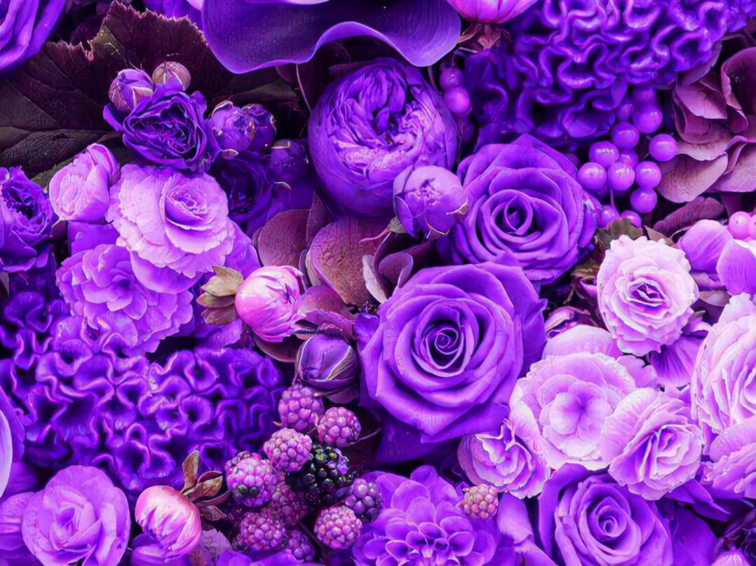 摩羯座带给世人的四个知识点，值得借鉴