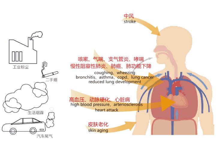 ���벻��������Ⱦ�������������·�ʽ�����ǻ۵Ƹ���������װ��