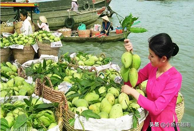 越南有多少个省（收藏住越南的行政区划图）