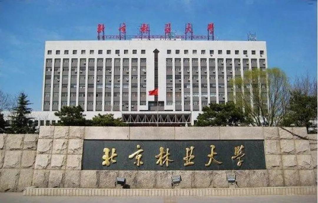 有什么中等偏上的大学(有什么中等偏上的大学学校)