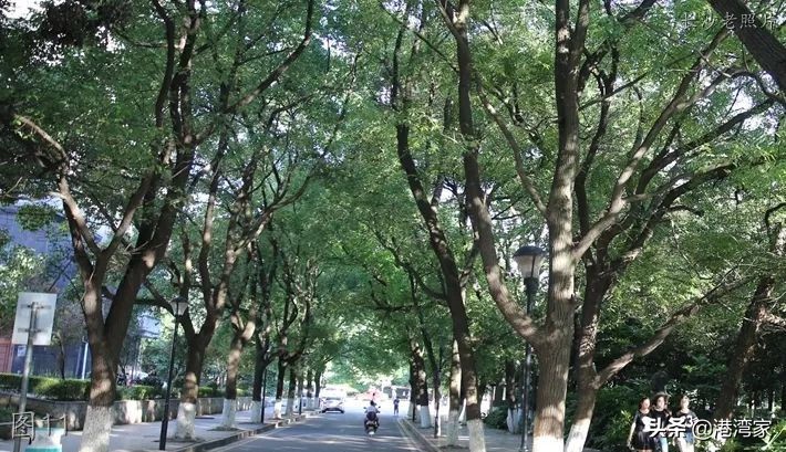 中南林学院老照片：校舍，旧图书馆，忆同学少年，风华正茂