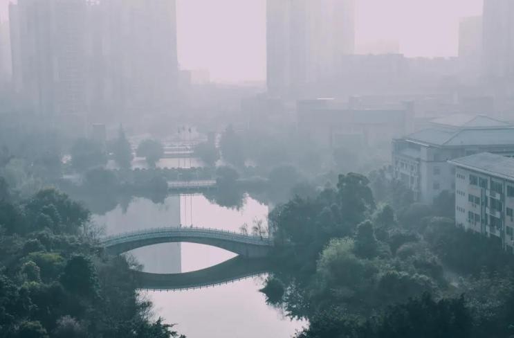 重庆“才女”！钢琴八级，为重病母亲放弃艺术梦，本科发表SCI、保研985！