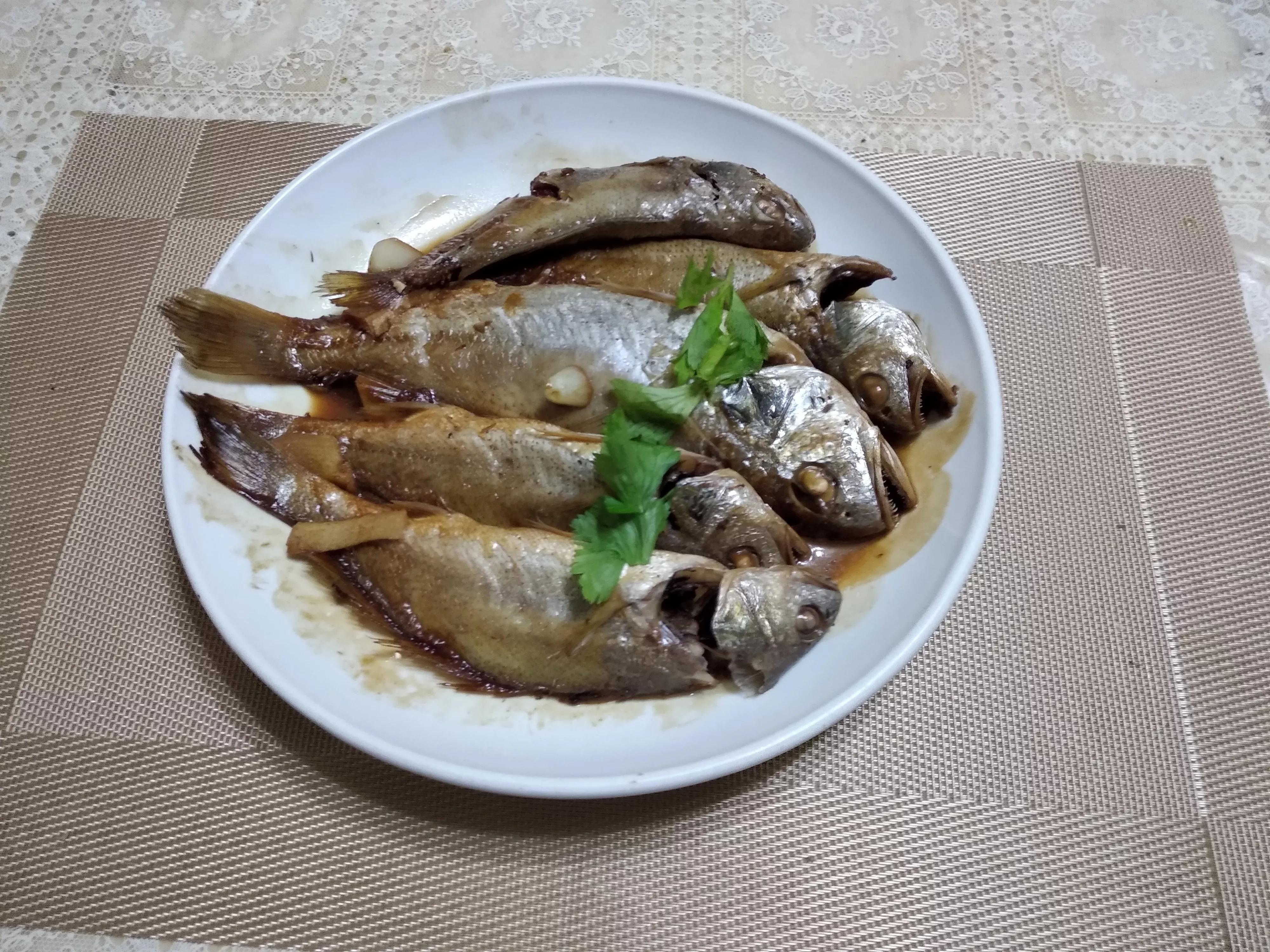 海魚的種類圖片,海魚種類名稱圖片大全