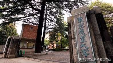 中国农大，荷兰农大，美国农大，日本农大，谁是世界第一农大