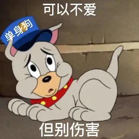 表情包：可以不爱，但别伤害