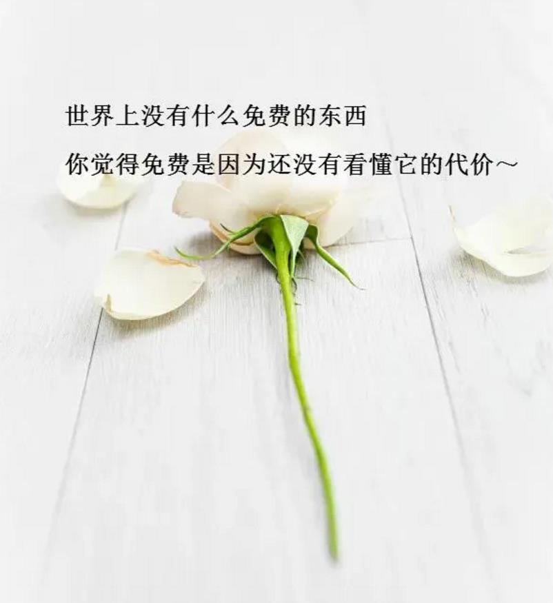 开心短句说说发朋友圈 简单快乐的心态句子正能量爆棚图片