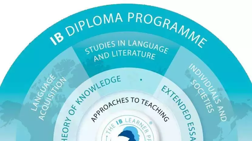 在《银河补习班》前，家长已经把IB、AP课程排上了