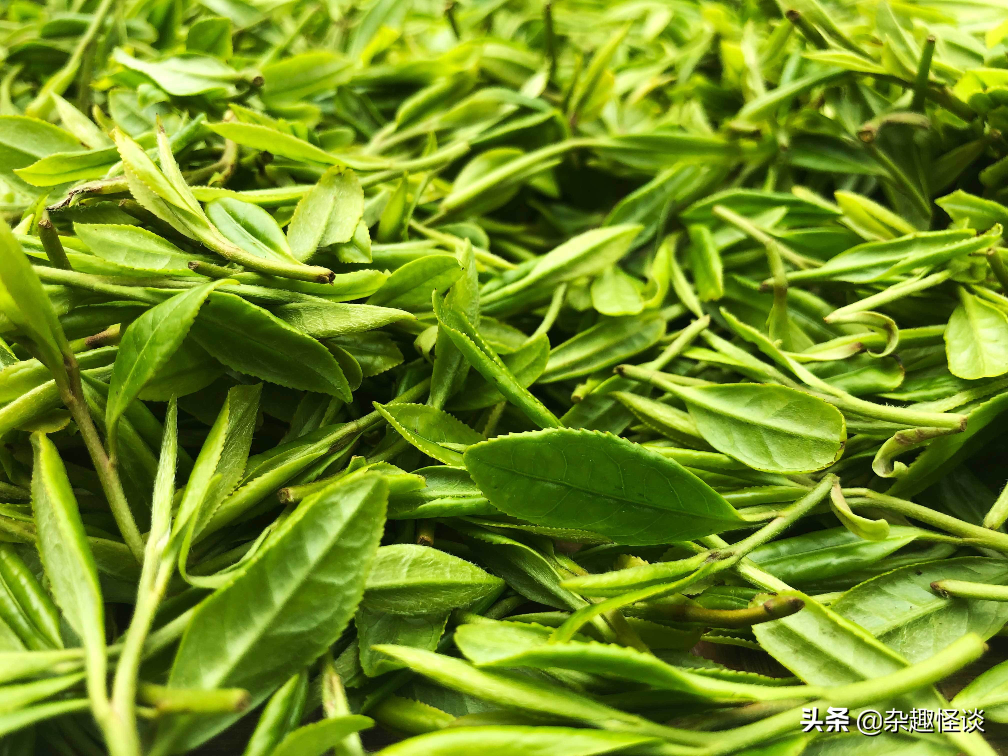盘点中国十大名茶，你喜欢的那款茶，是否在其中？