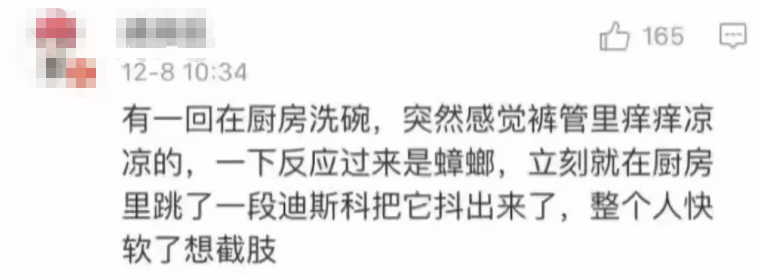 广州一大厦“两眼发光”似蟑螂，北方网友吓坏:南方蟑螂这么大?