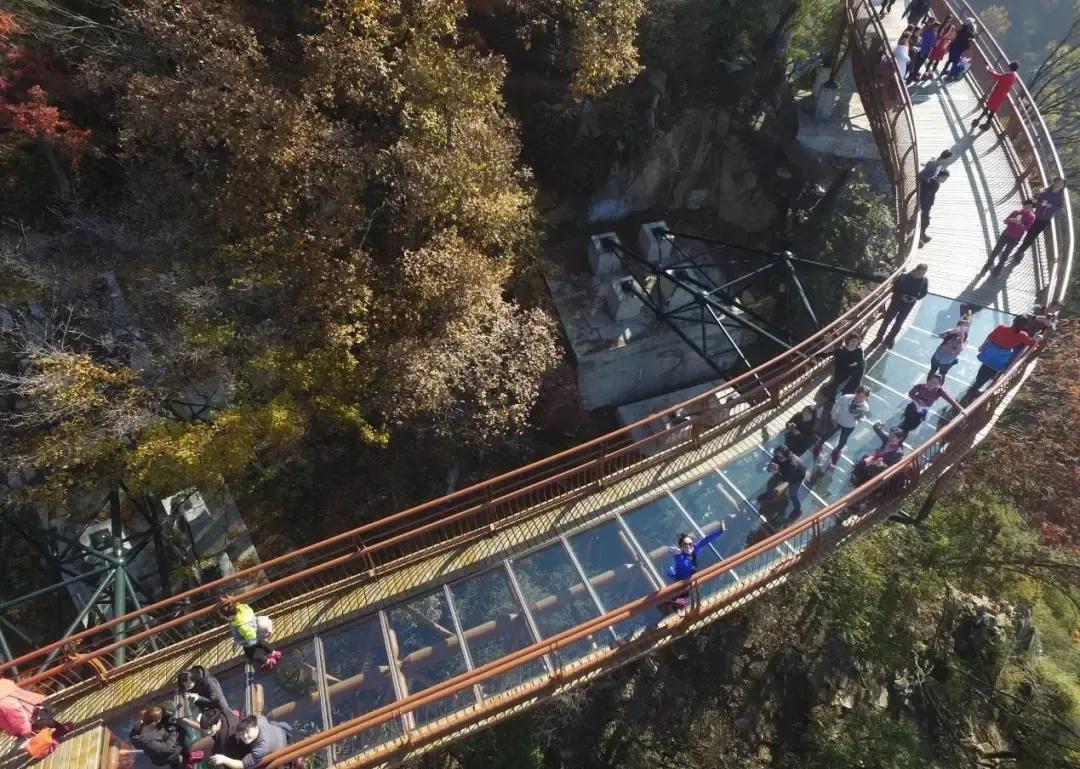 赏秋时节 </p><p>　　 打卡京郊这10条乡村公路，藏着北京最美的秋天