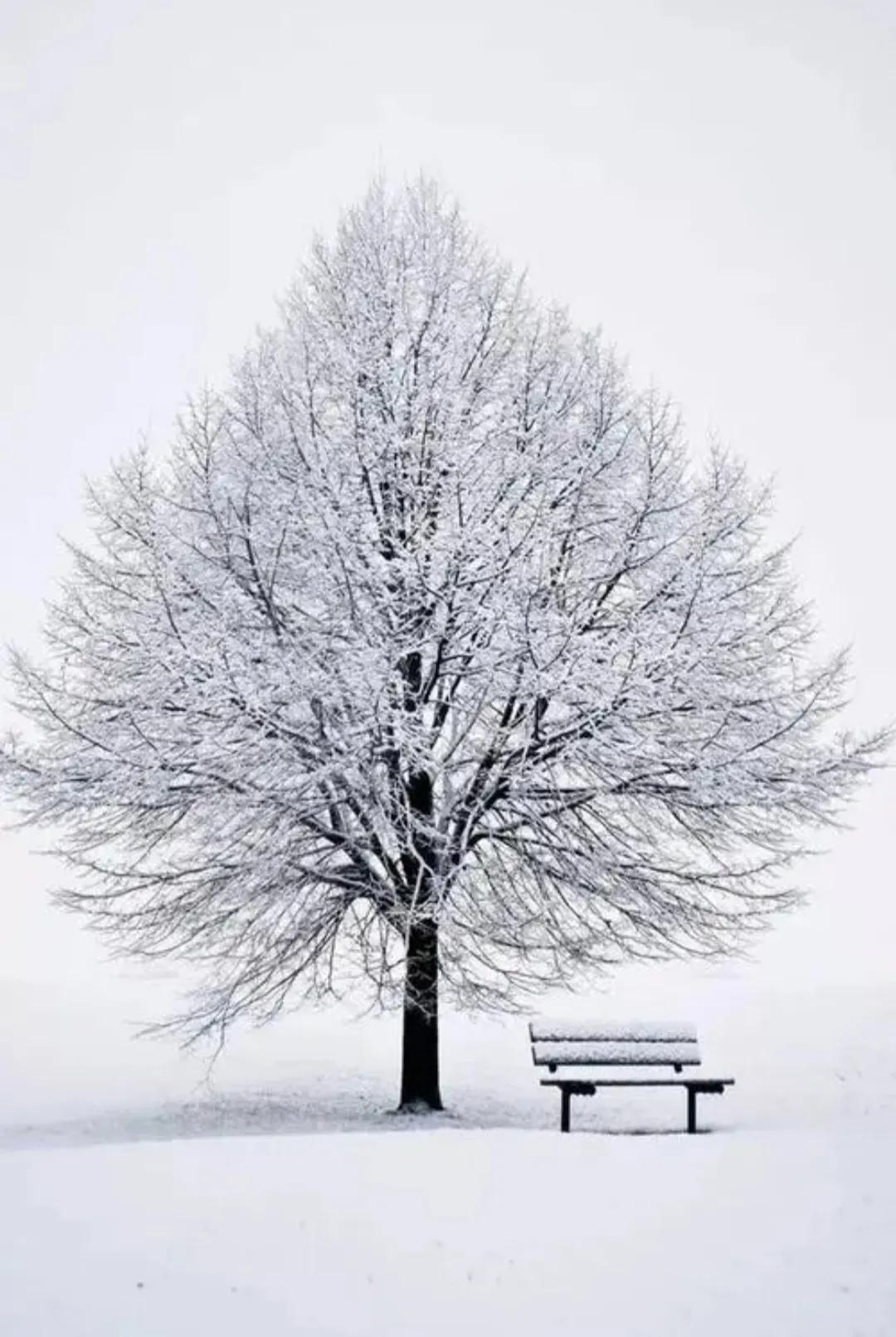 原创一百五十六：散文·四季之美