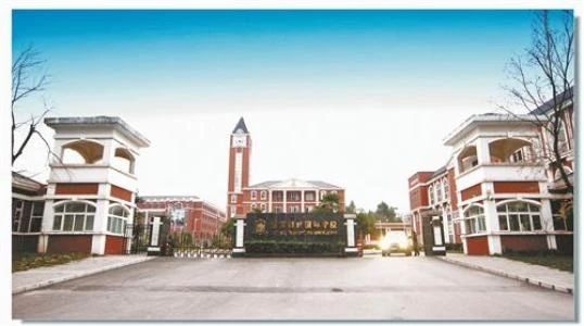 一年学费20万，在重庆上个小学也太贵了吧！看完数据你就知道了