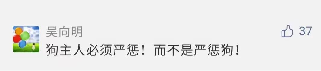 痛心！大理大学12只网红黑天鹅被烈犬咬死！包括6只丑小鸭！狗主人赔4万元
