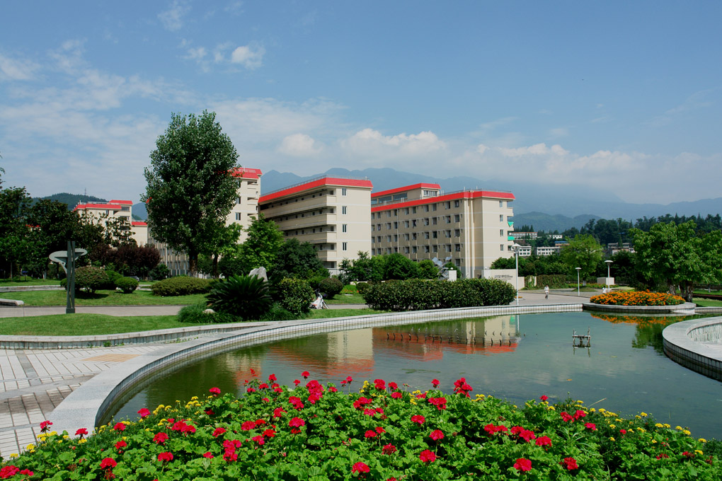 “双一流”四川农业大学艺考政策解读，美术生多少分可以录取？