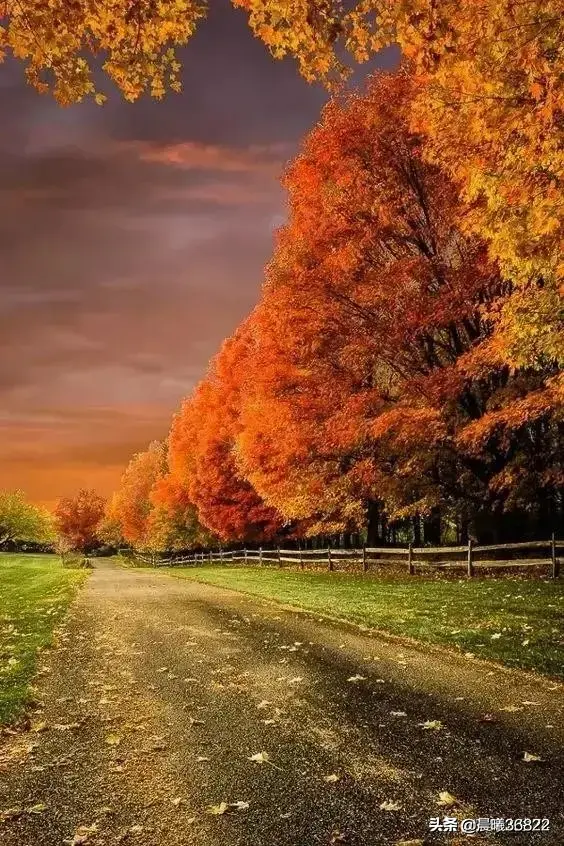 欣赏王维描写秋景的诗《山居秋暝》