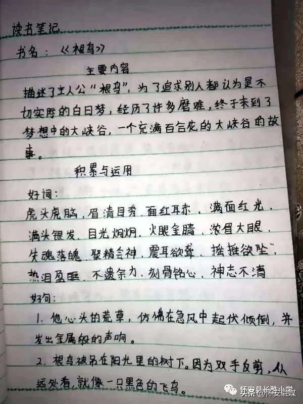 怀安县柴沟堡镇长胜小学网上秀学生假期作业