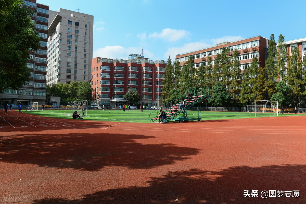 211大学排名（上海市）