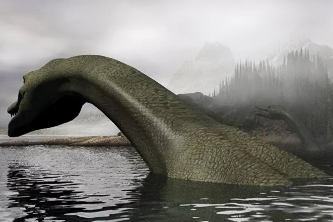 世界上有龙吗证据图片(四川雅女湖中疑似有) - 赤虎壹号