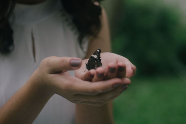 狮子座都是如何跟人道歉的？