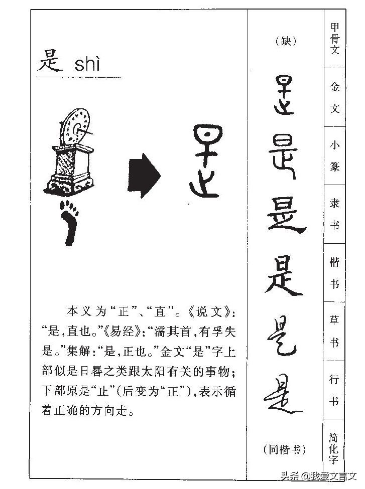 经典文言文赏析 | 烛邹亡鸟