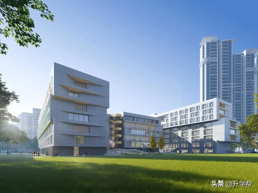 成都，疯狂建学校！城南大有看头