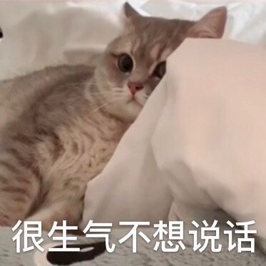 猫咪斗图表情包合集很生气不想说话，