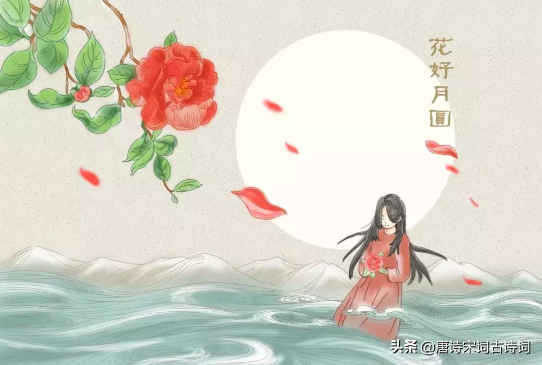 十二首牡丹诗词，哪一首是你心目中的牡丹形象呢？