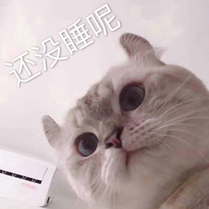 表情包：可不可以牵一下小猪猪的手？