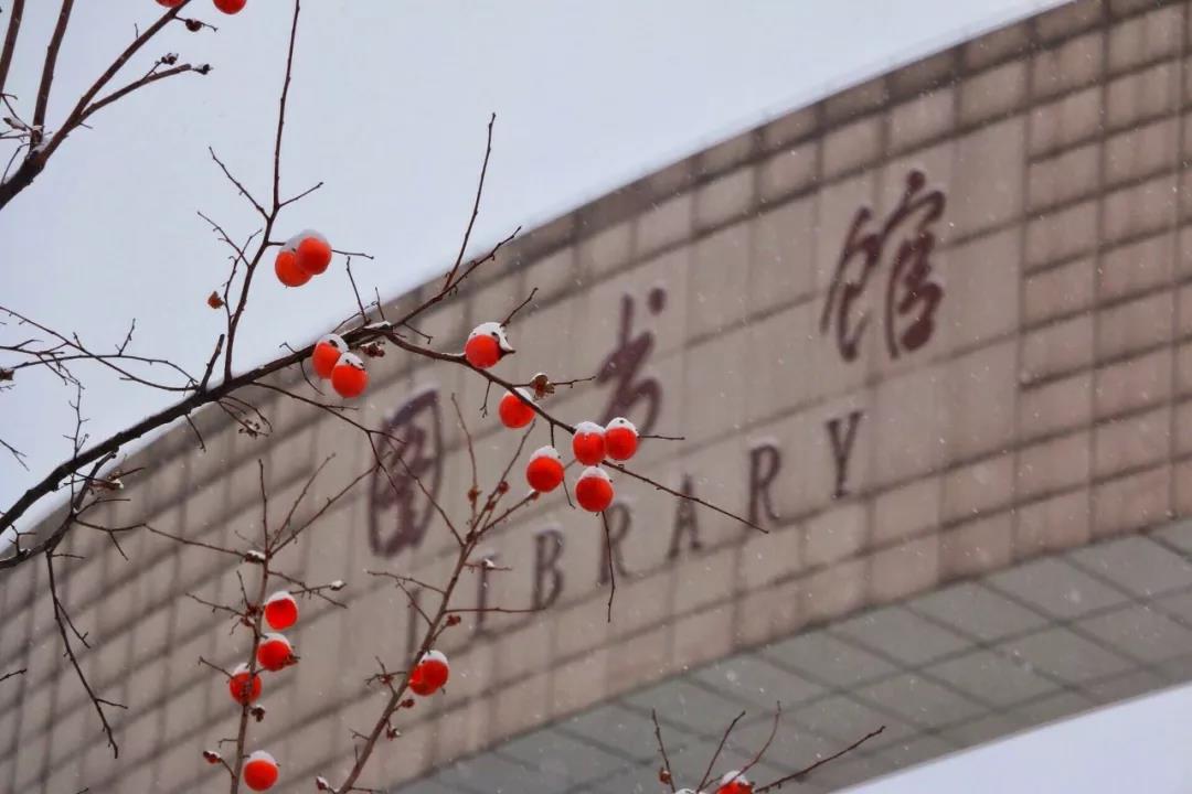 西安外国语大学2020年招生章程