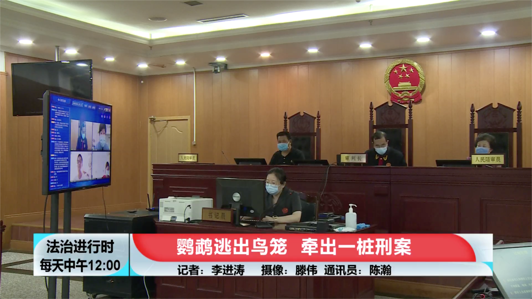 北京奇案：鹦鹉逃出鸟笼，竟然牵出刑事案件