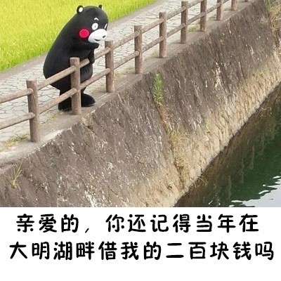 让别人还钱的表情包｜