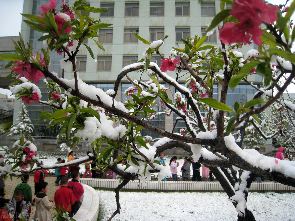 大学生考教师资格证，必须知道的5大问题，早知道早准备