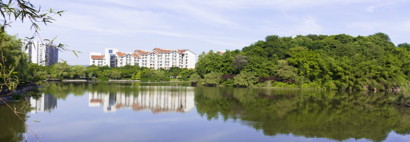 重庆科技学院分专业录取分析，理科占85%，最大位次差超过1万