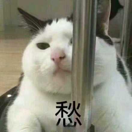 叹气表情包生活不易，猫猫叹气