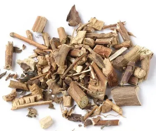 道地药材之粤十味(上)