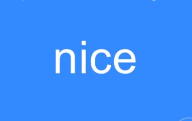 nice是什么中文意思（网络语“nice”什么意思？）