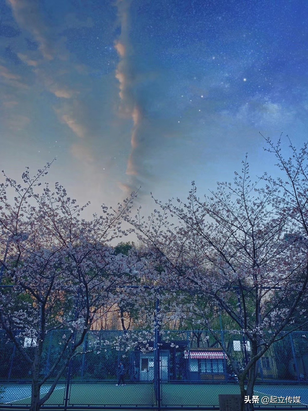 上海三所顶级大学：同济最低调，上海交大优秀学科竟然这么多！