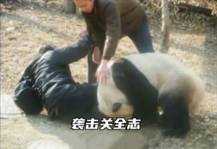 致命萌物，盘点七大能杀死你的可爱动物