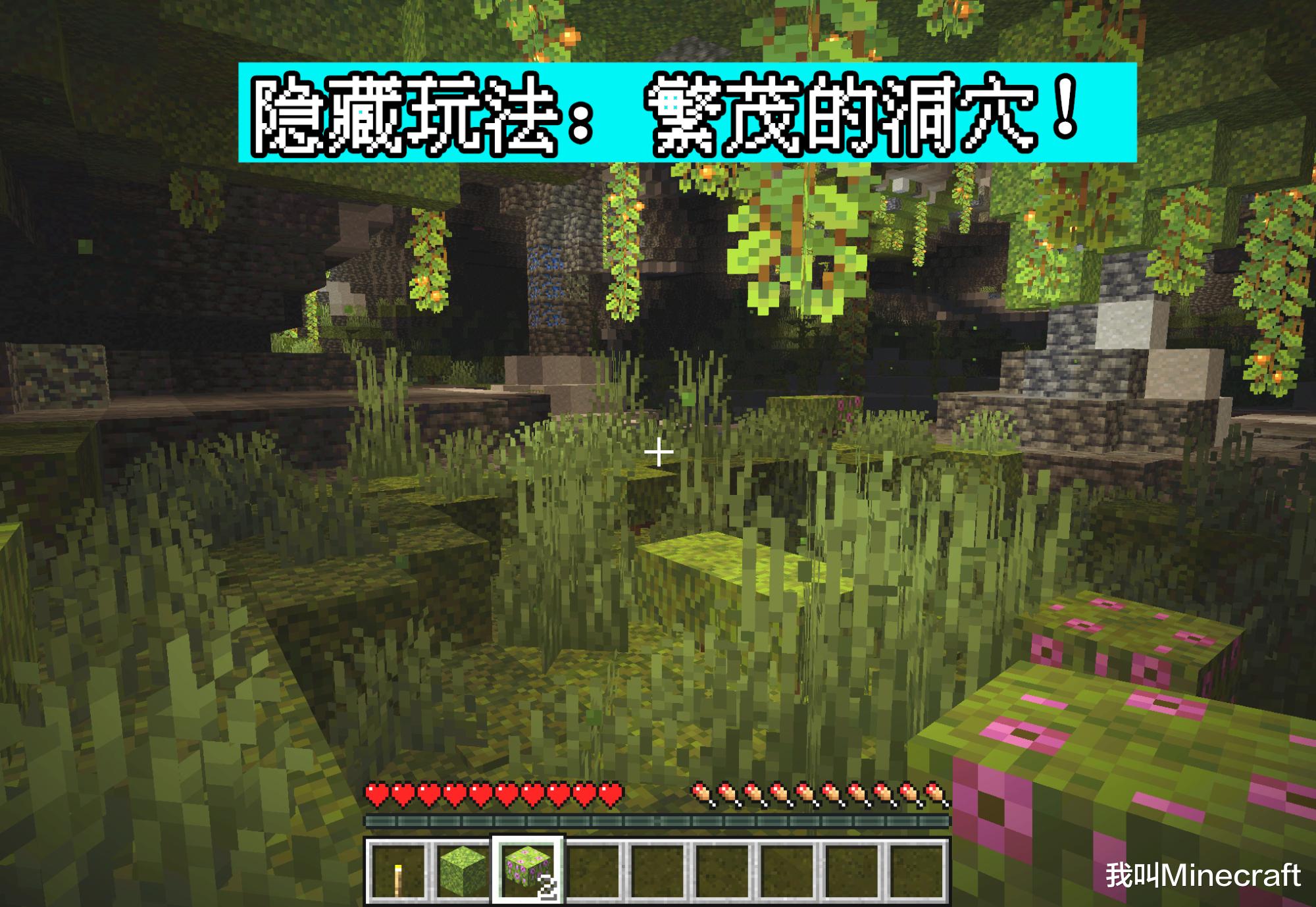 Minecraft 1.17洞穴与山崖：第一阶段究竟更新了啥？1个隐藏玩法