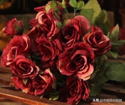 玫瑰花长什么样（26种常见玫瑰花品种集合）