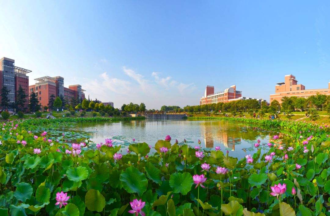 4所专科院校以“大学”命名，唬住很多考生，被误认为是当地名校