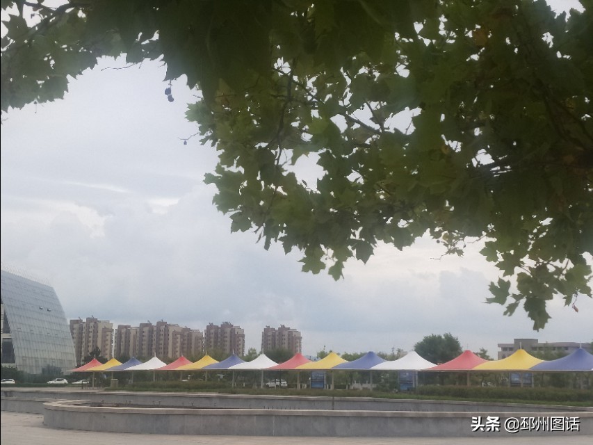 美丽的校园，威海职业学院