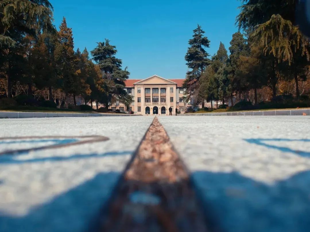 报了！扬州大学