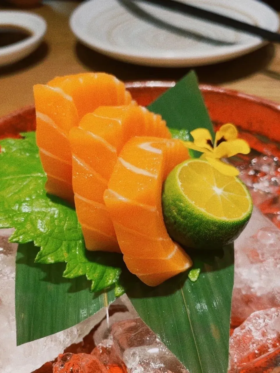 原来日式火锅这么香！深圳5家超地道寿喜烧我只分享一次