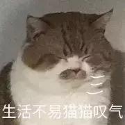 心情低落的表情包｜生活不易，猫猫叹气