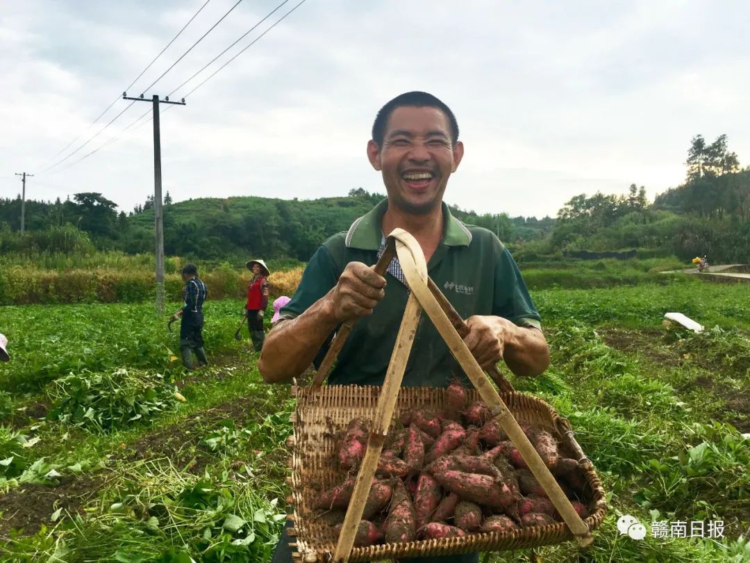 赣州荣耀！刚刚，他们在人民大会堂接受表彰！