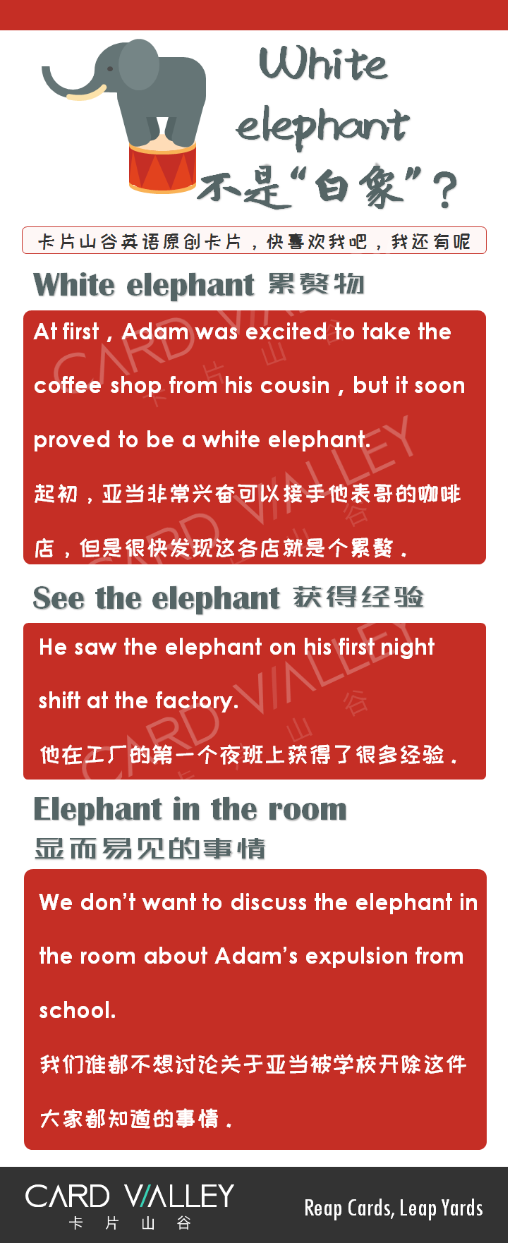 White elephant可不一定是“白色的大象”哦！猜猜看啥意思？