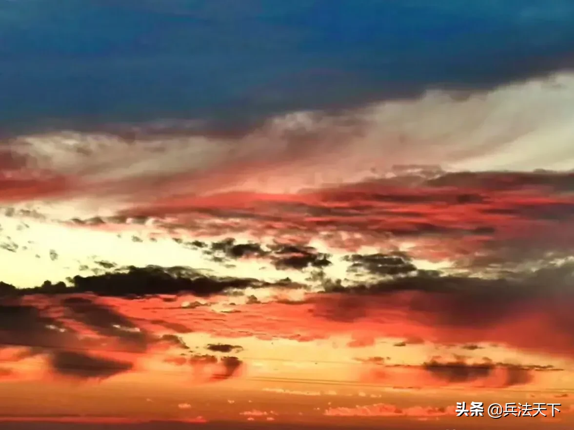 盛夏的味道|始于那一声声的蝉鸣。