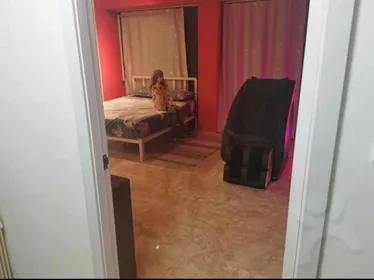 成人娃娃体验店：性压抑国度中的欲望生意