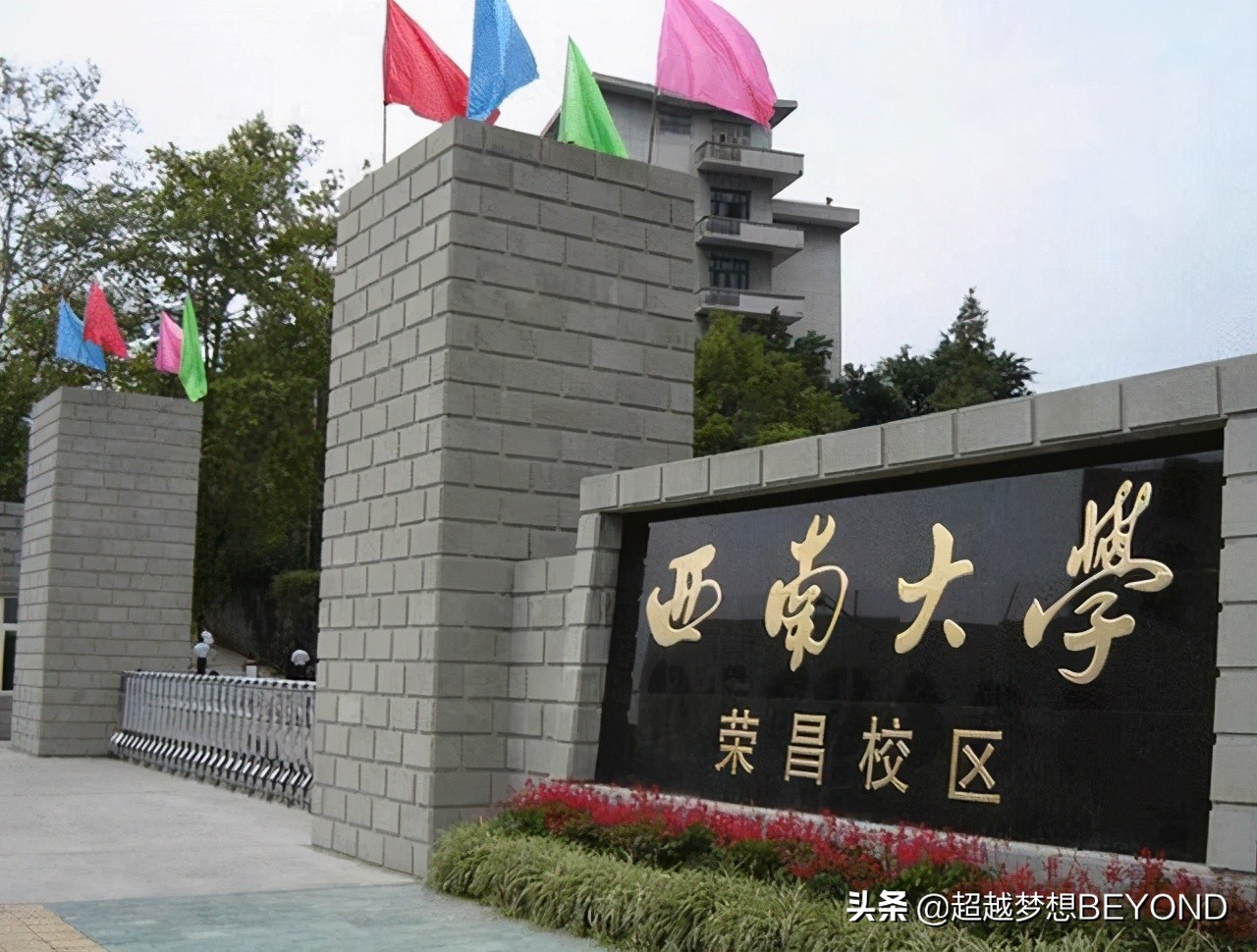 西南大学校考分数线（西南大学荣昌校区2020年全国各省份录取分数统计）